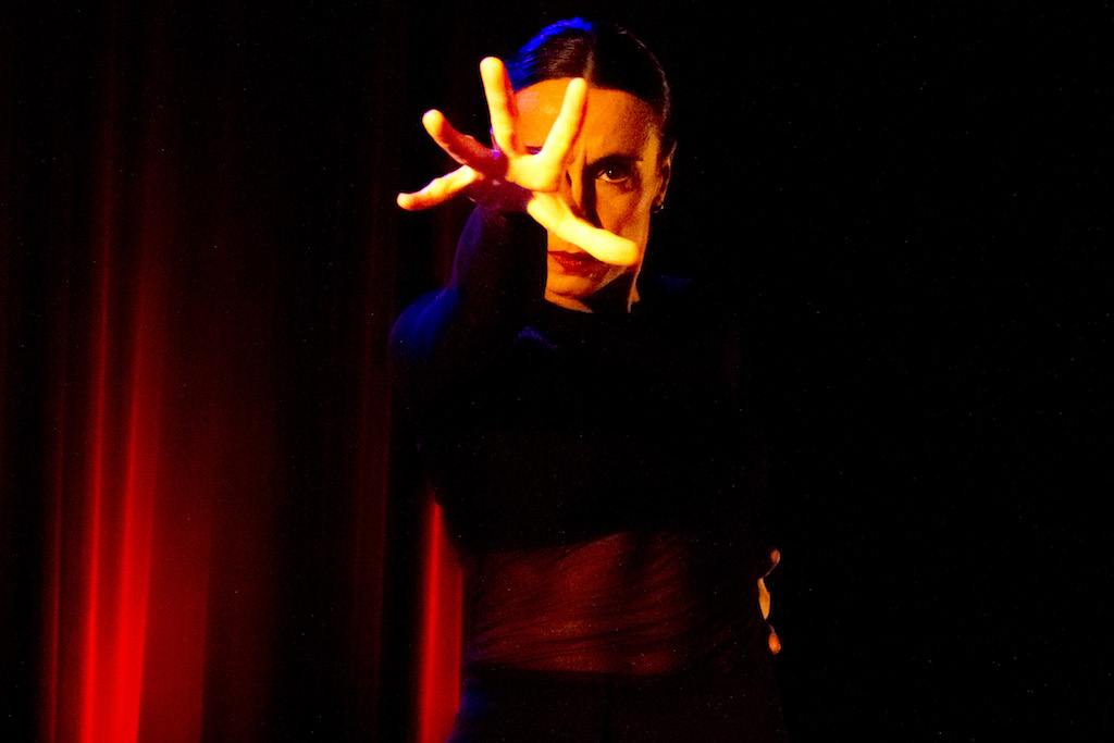 Foto Flamencotanezerin Gisa Michelon_Copyright Brigitte Spoerrer