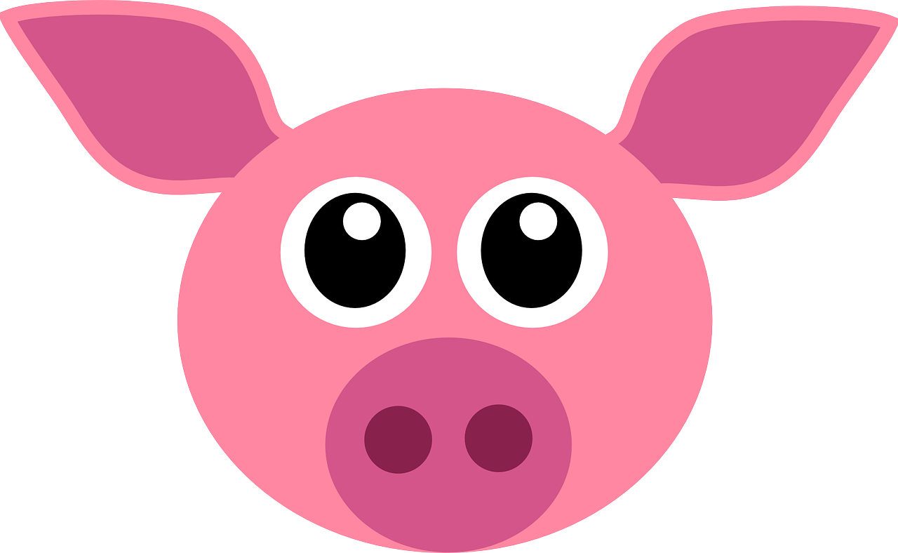 pig-161381_1280