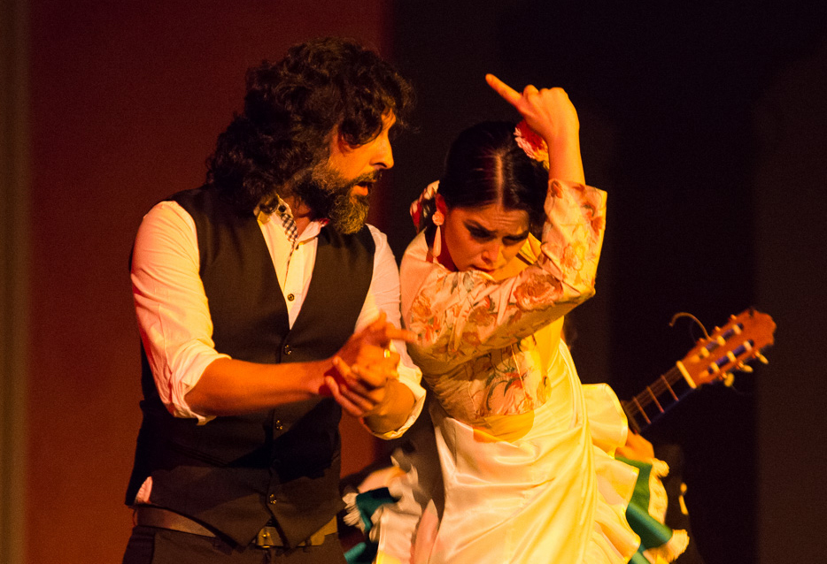 Foto Flamencosaenger und Flamencotaenzerin