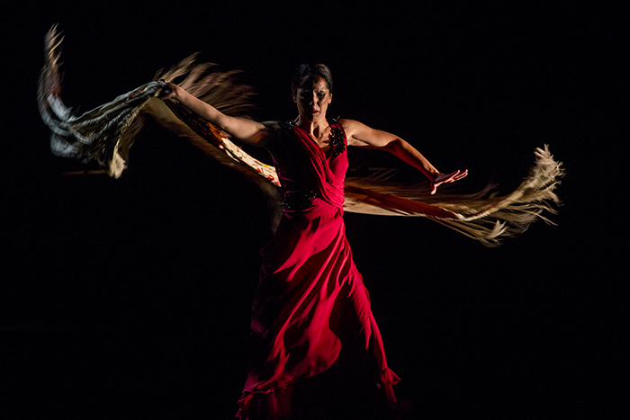 ©Javier Fergo para Festival de Jerez