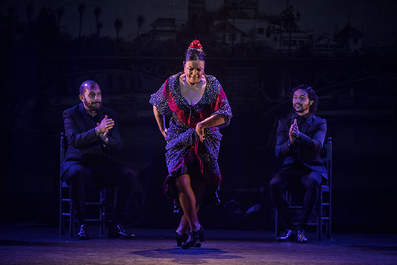 1 020220HINIESTAC_01