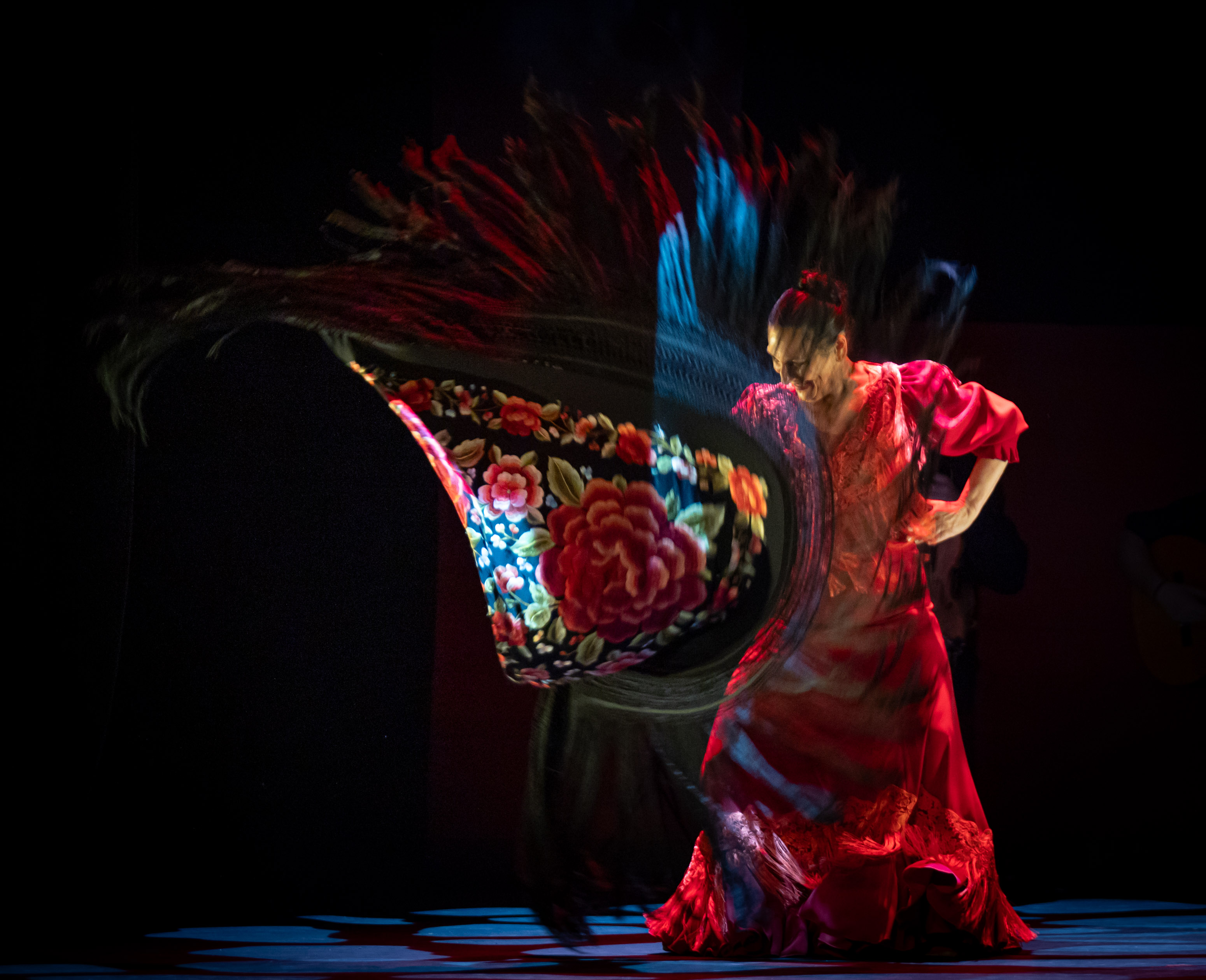 Esteban Abion. Ballet Flamenco-32
