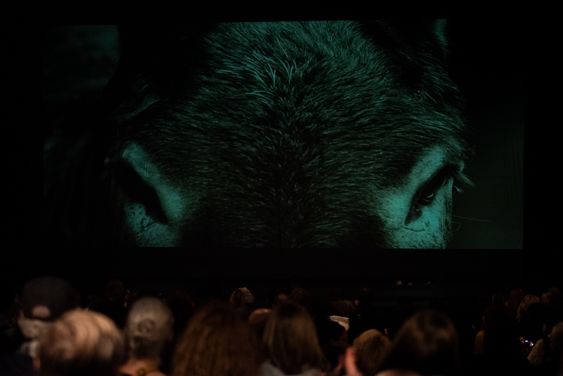 5 MarcoFlores_by tamarapastora-23